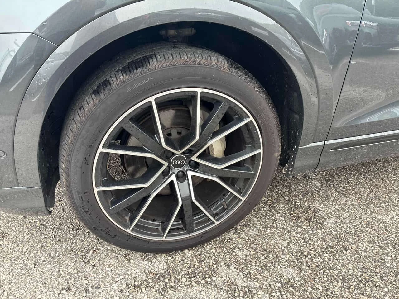 Audi Q8 * Progressiv * CARFAX * ОПЦИЯ ЗА ФИНАНСИРАНЕ, снимка 7 - Автомобили и джипове - 55399149