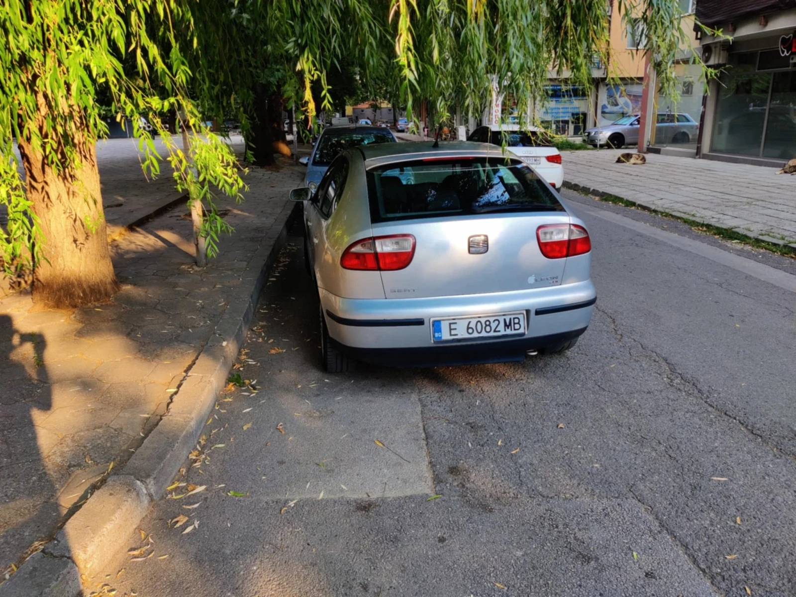 Seat Leon ARL - изображение 3