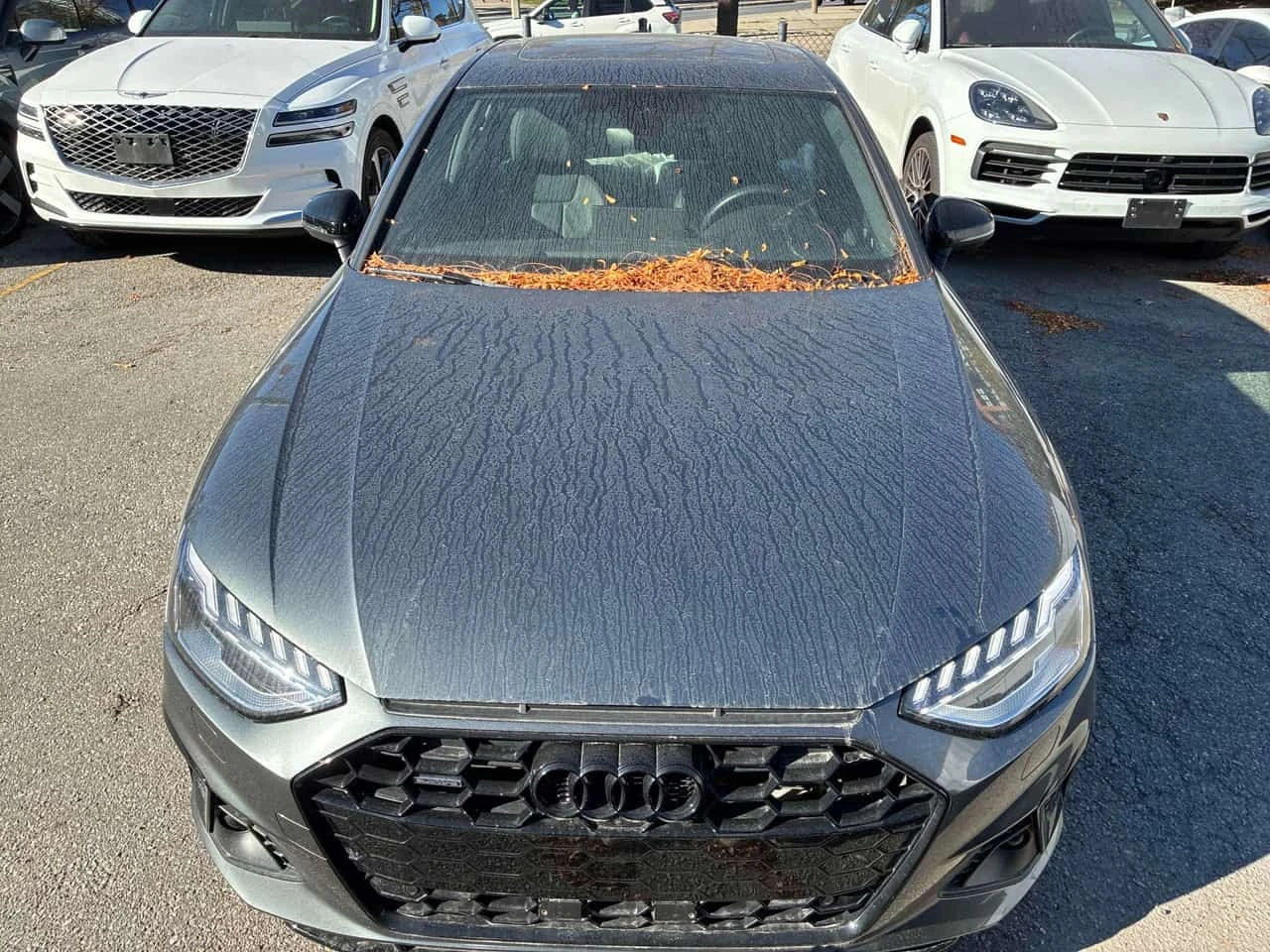 Audi A4 * Technik * CARFAX * ����� �� ����������� | Mobile.bg � ����������� 6