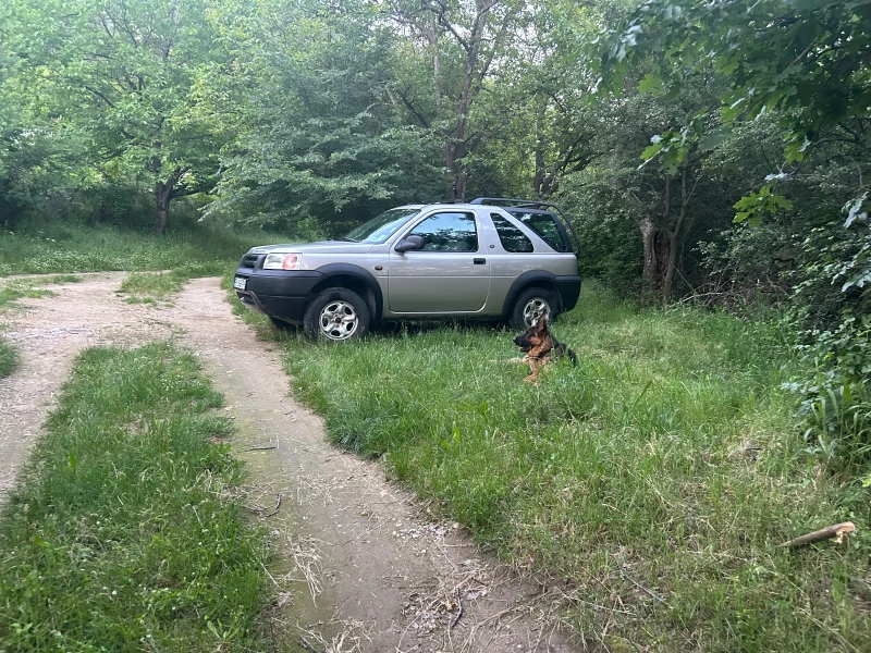 Land Rover Freelander, снимка 4 - Автомобили и джипове - 52553218