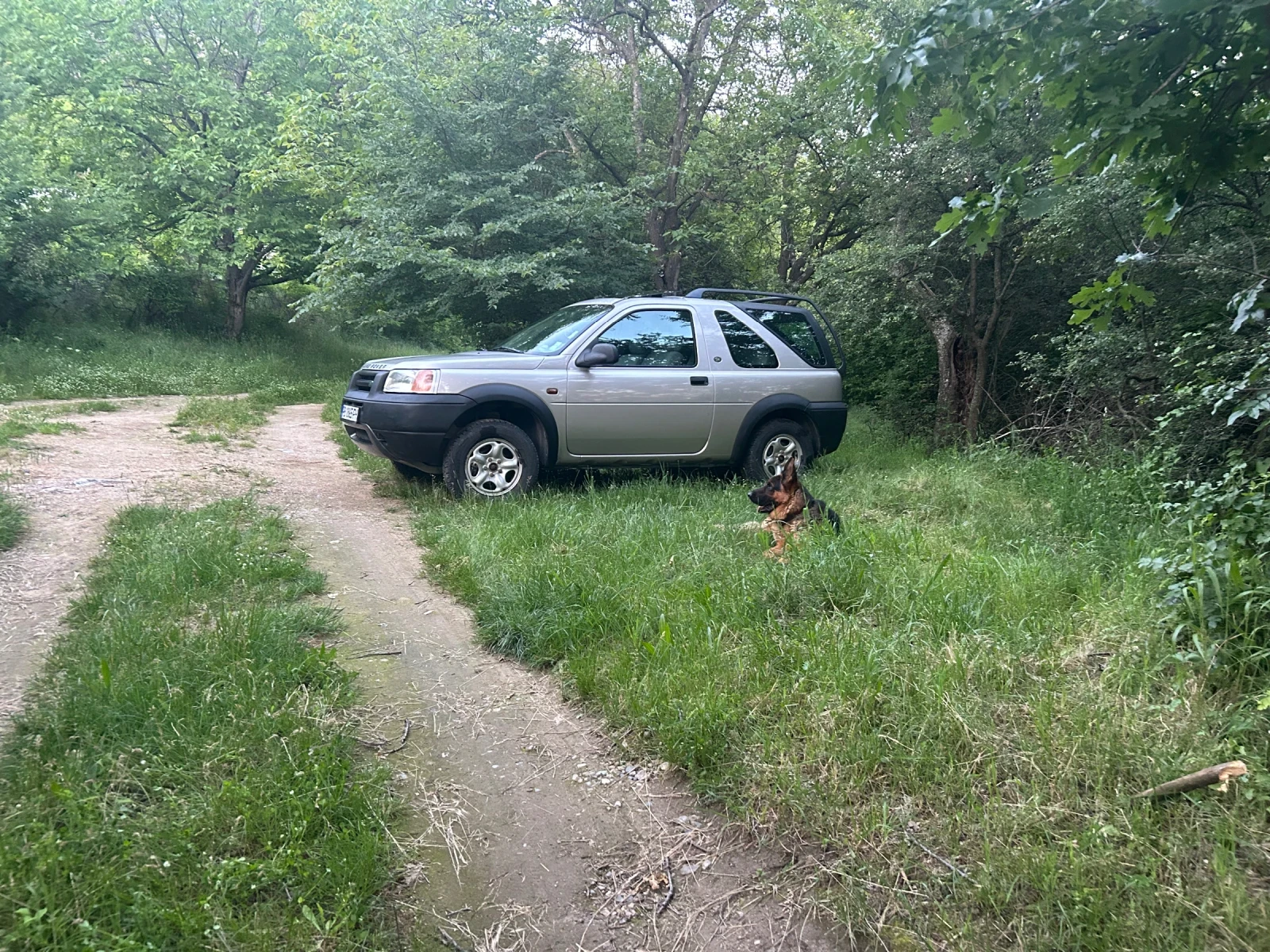 Land Rover Freelander  - изображение 4
