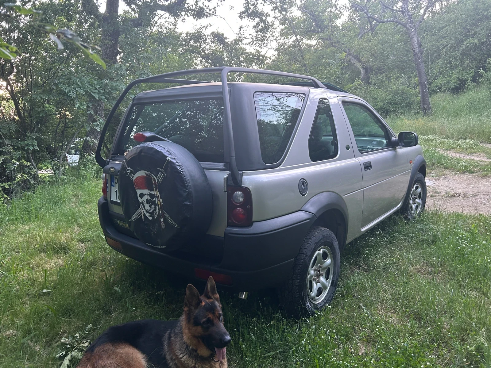 Land Rover Freelander | Mobile.bg � ����������� 13