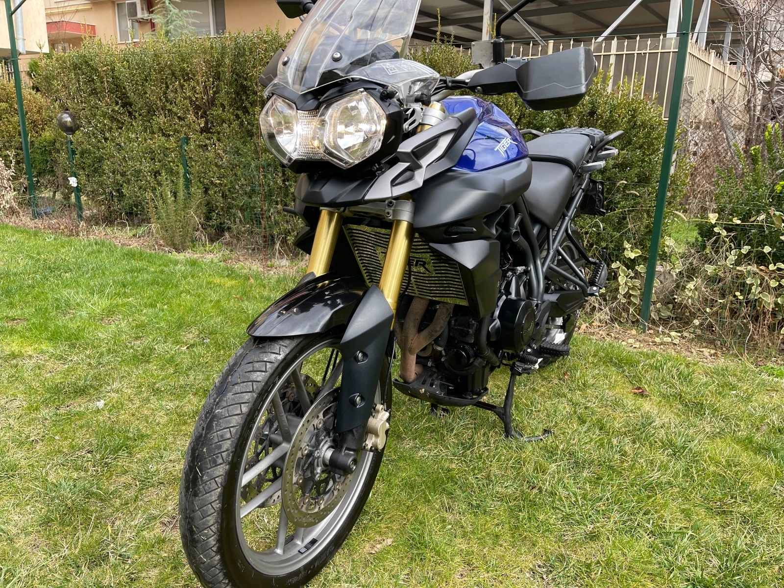 Triumph Tiger 800  - изображение 3