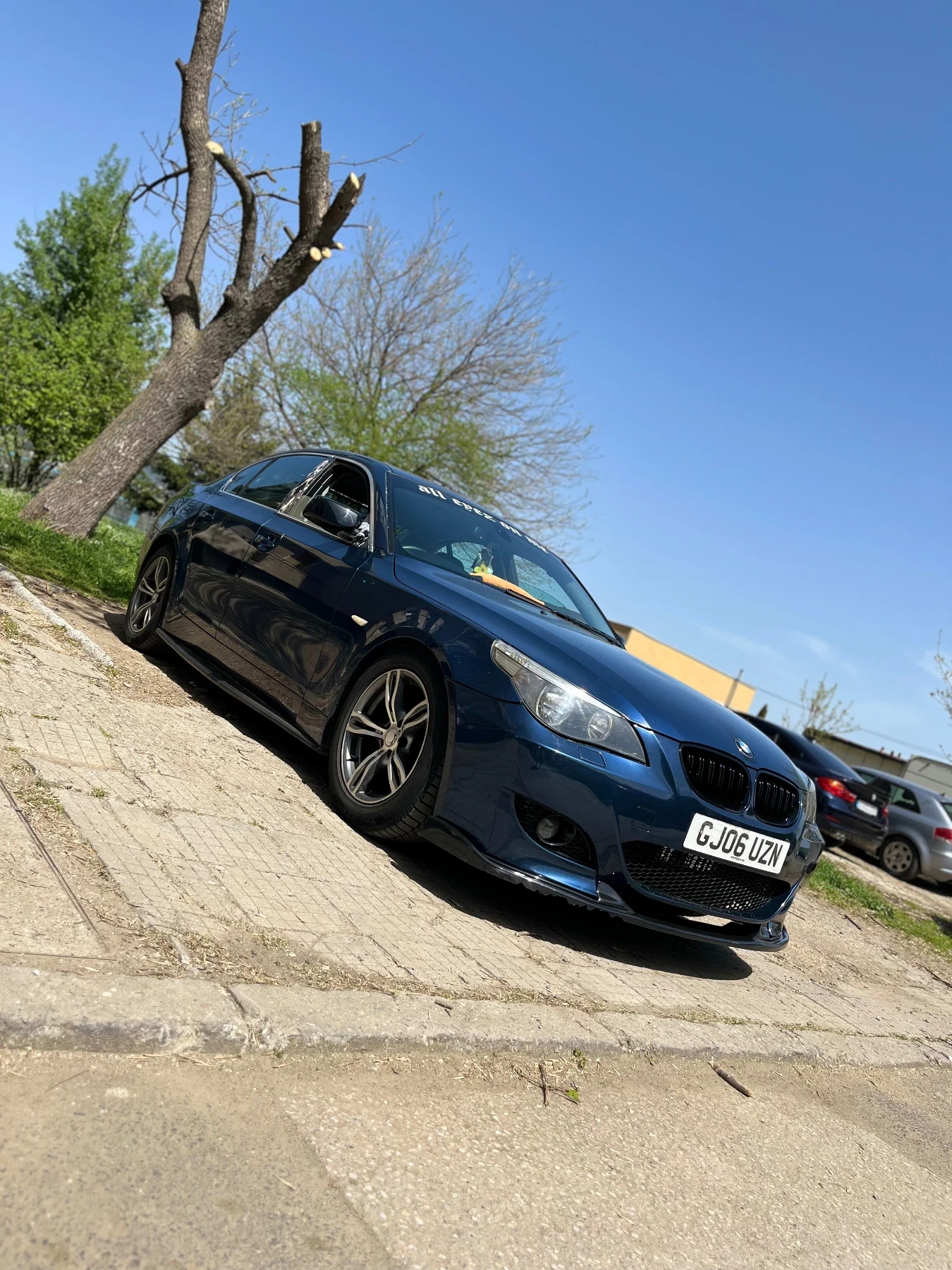 BMW 520 E60, снимка 13 - Автомобили и джипове - 53887420