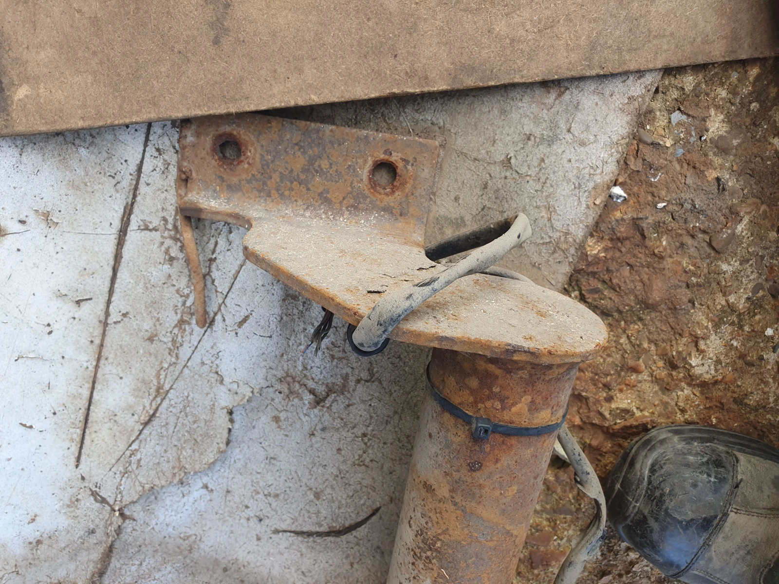 ������� | Mobile.bg � ����������� 4