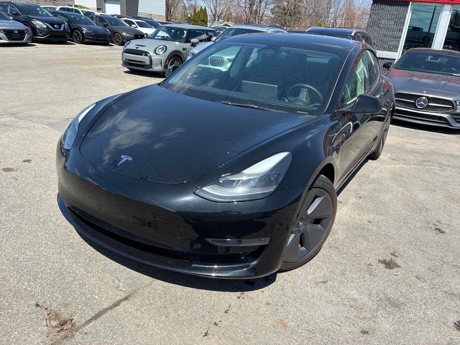 Tesla Model 3 RWD/Partial Premium Interior