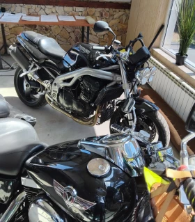     Triumph Speed Triple 955i