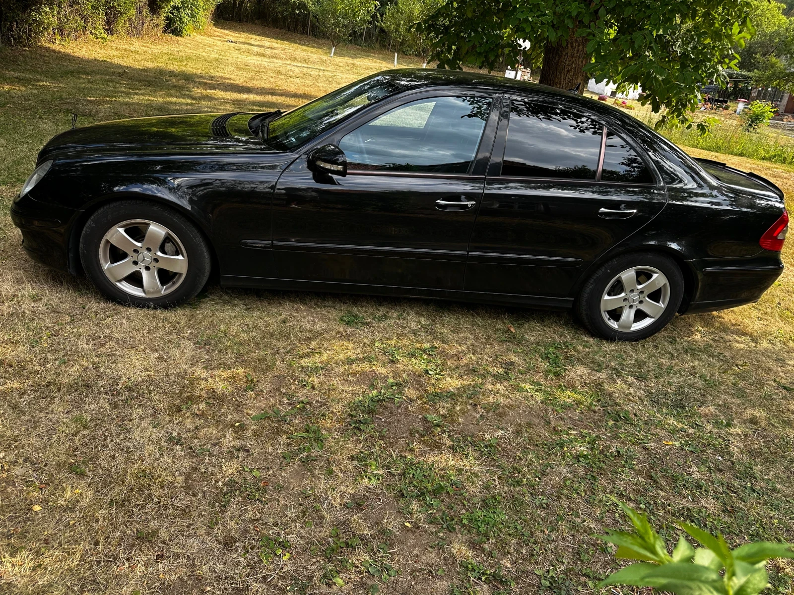 Mercedes-Benz E 320 EVO - изображение 4