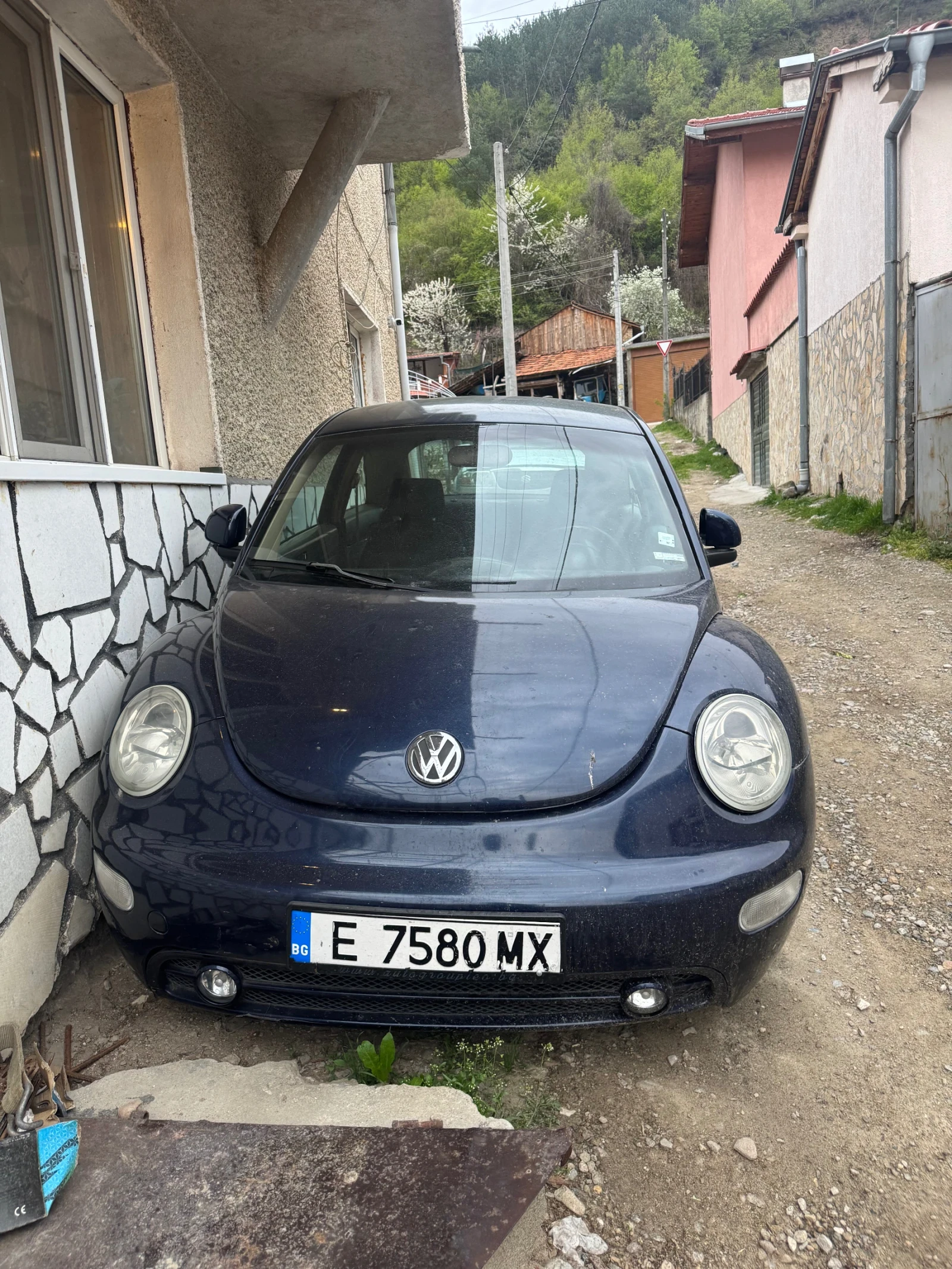 VW Beetle