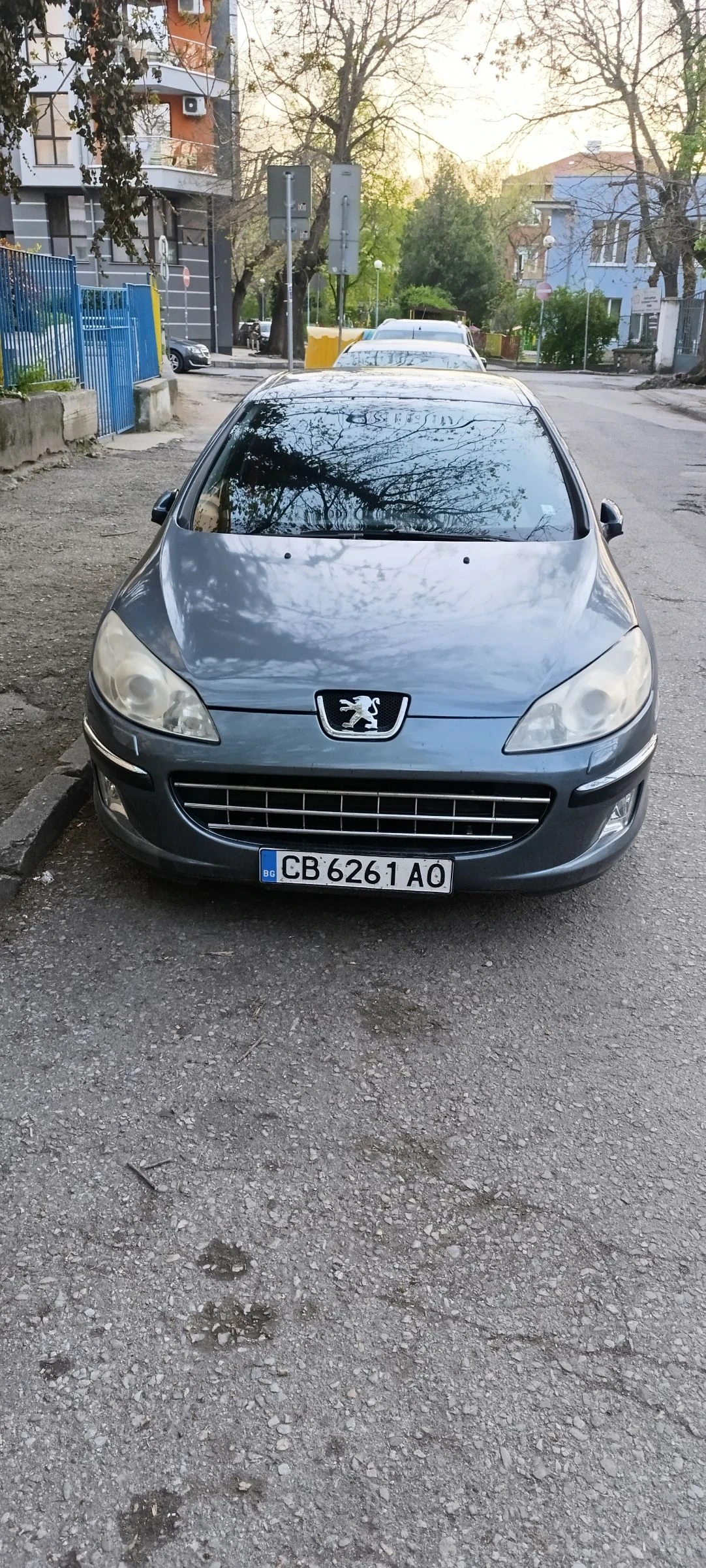 Peugeot 407