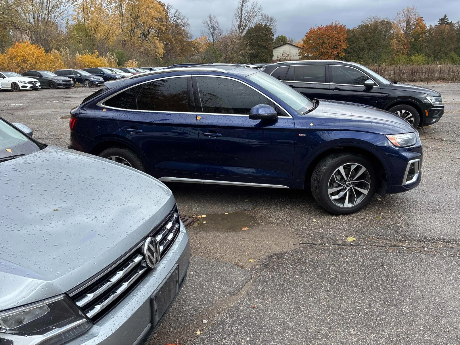 Audi Q5 Sportback Progressiv * * CARFAX * * ���� ������ *  | Mobile.bg � ����������� 5