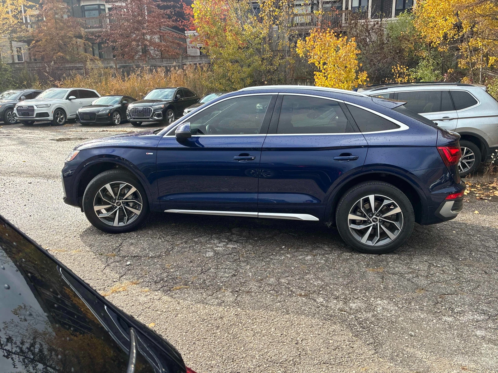 Audi Q5 Sportback Progressiv * * CARFAX * * ���� ������ *  | Mobile.bg � ����������� 3