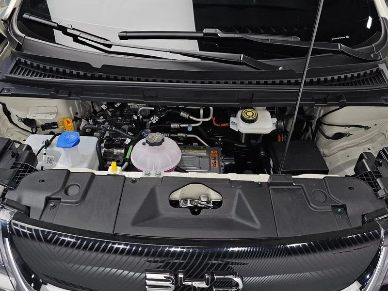 BYD Dolphin Base| 177�.�. | Mobile.bg � ����������� 6