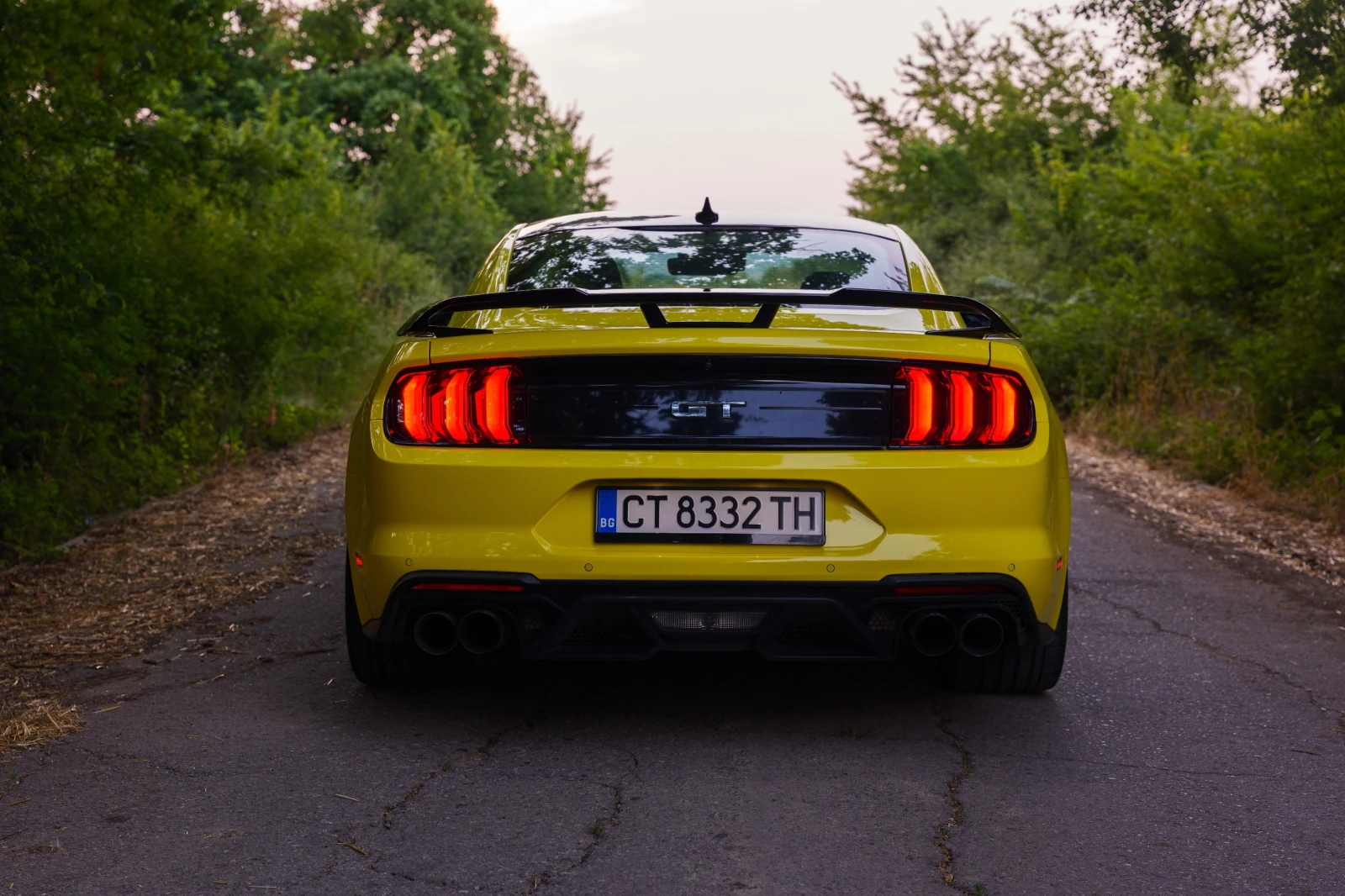 Ford Mustang, снимка 3 - Автомобили и джипове - 55477587