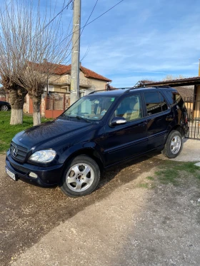 Mercedes-Benz ML 270 - 3900 € / 7627.74 лв. - 45955688 3