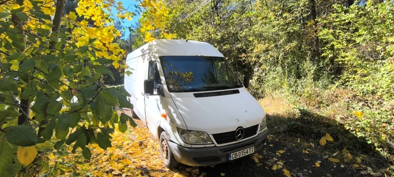 Mercedes-Benz Sprinter 311, снимка 7 - Бусове и автобуси - 52106803