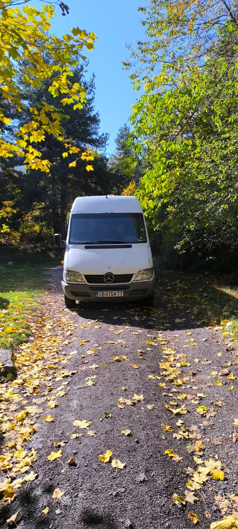 Mercedes-Benz Sprinter 311 | Mobile.bg   1