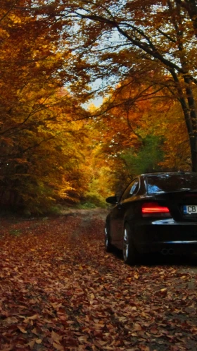 BMW 128 i | Mobile.bg    5