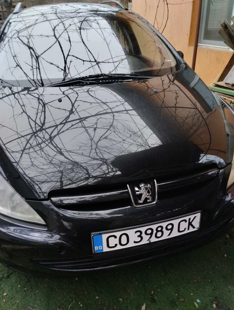 Peugeot 307, снимка 1 - Автомобили и джипове - 49419671