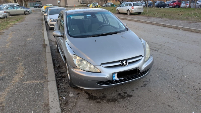 Peugeot 307 1.6 I, снимка 5 - Автомобили и джипове - 49273734