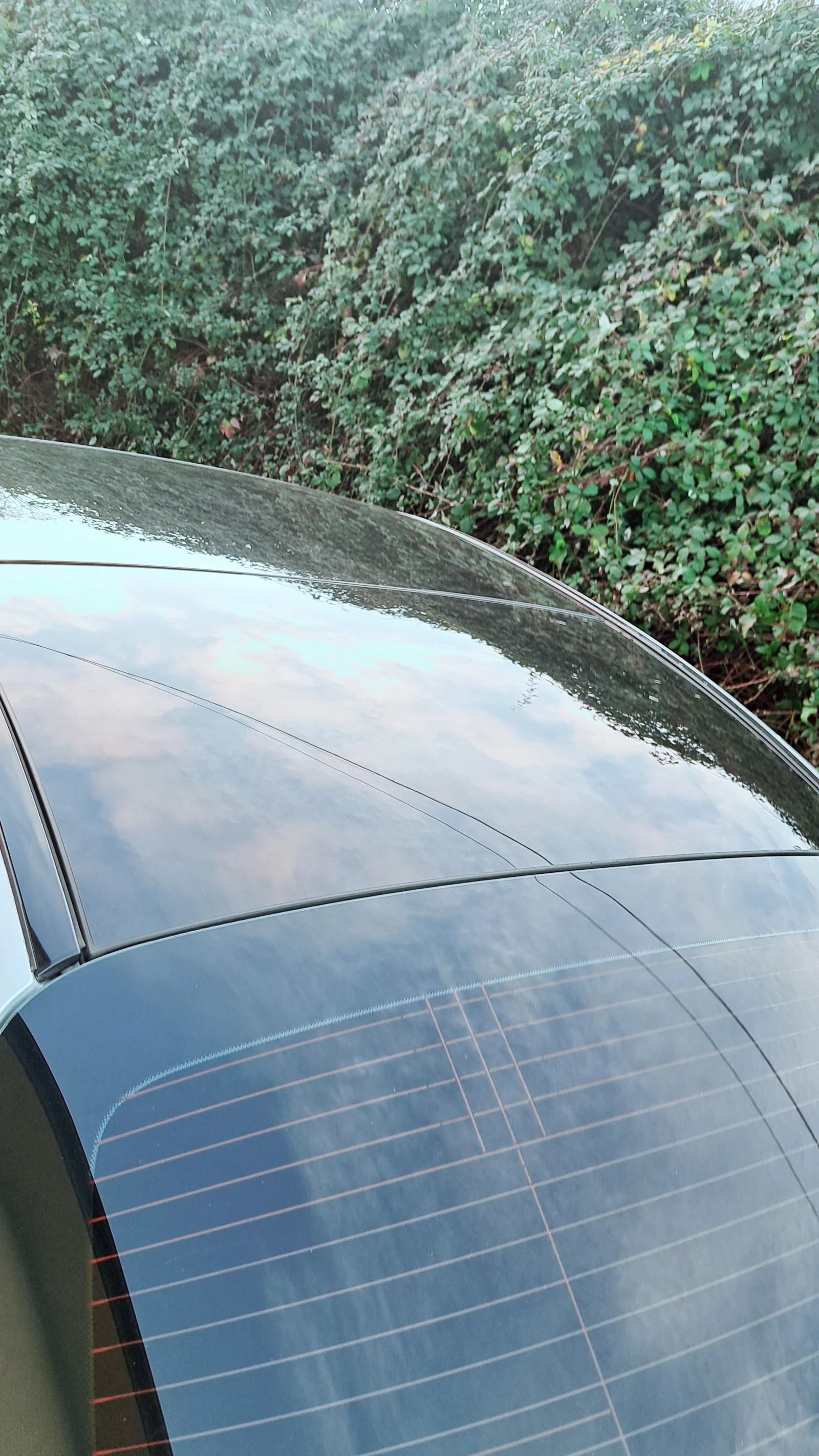 Mercedes-Benz C 220 Mercedes c klasa 2016 godina | Mobile.bg � ����������� 17