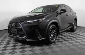 Lexus NX 350h 2024 Lexus NX 350h