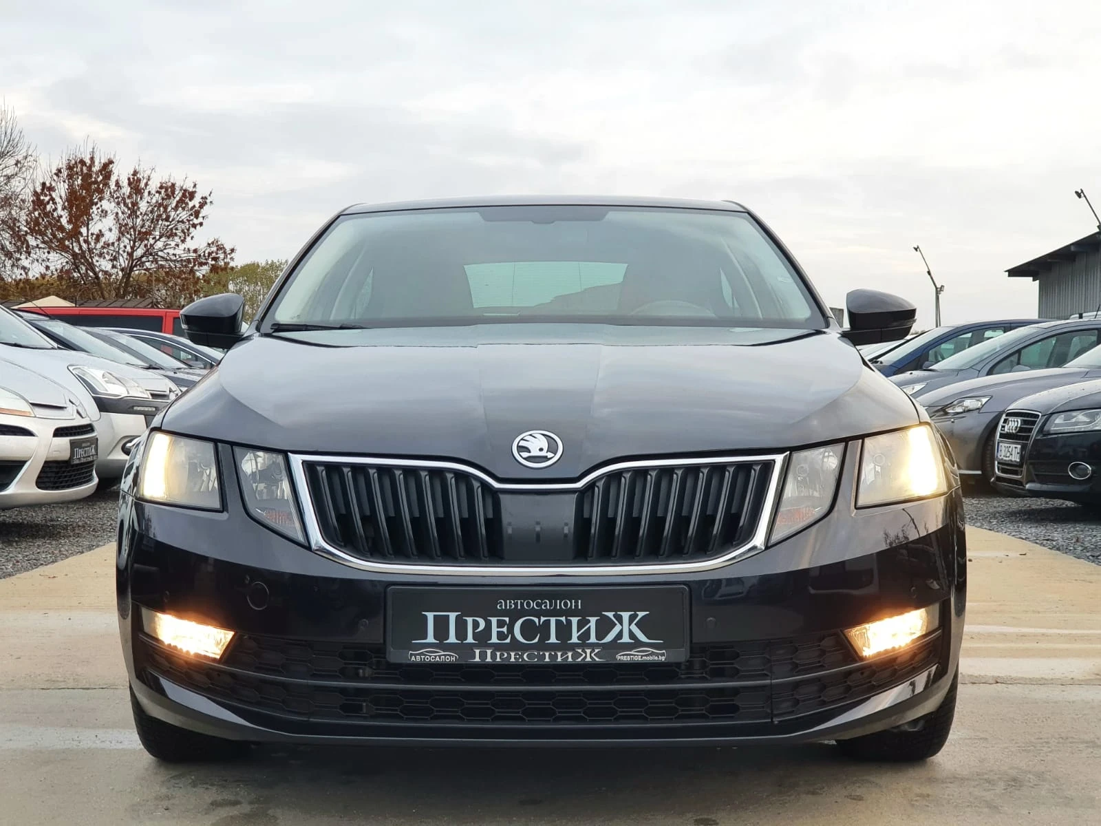 Skoda Octavia 2.0TDI - DSG -150k.c. - изображение 3