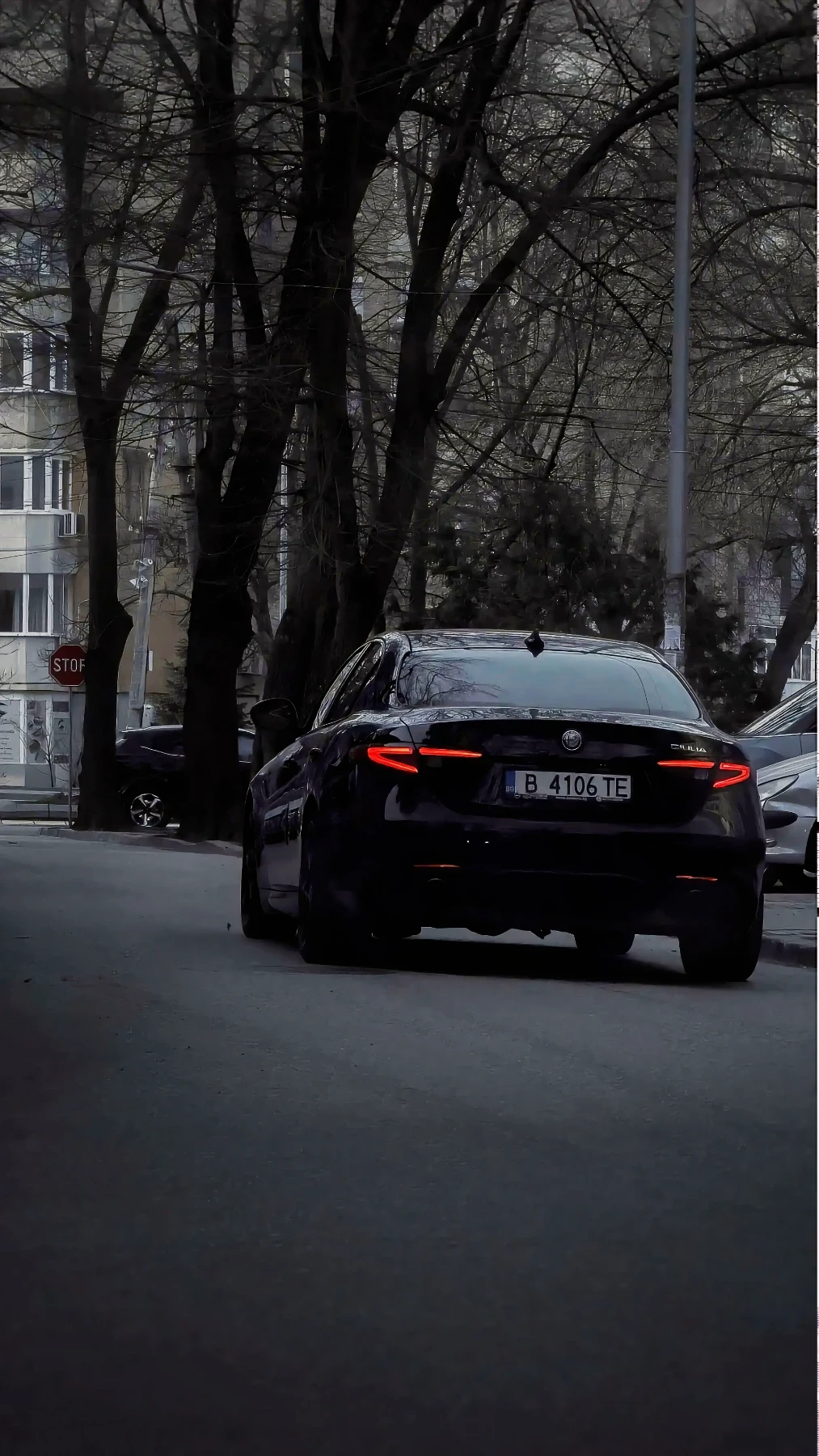 Alfa Romeo Giulia RWD, снимка 6 - Автомобили и джипове - 54016192