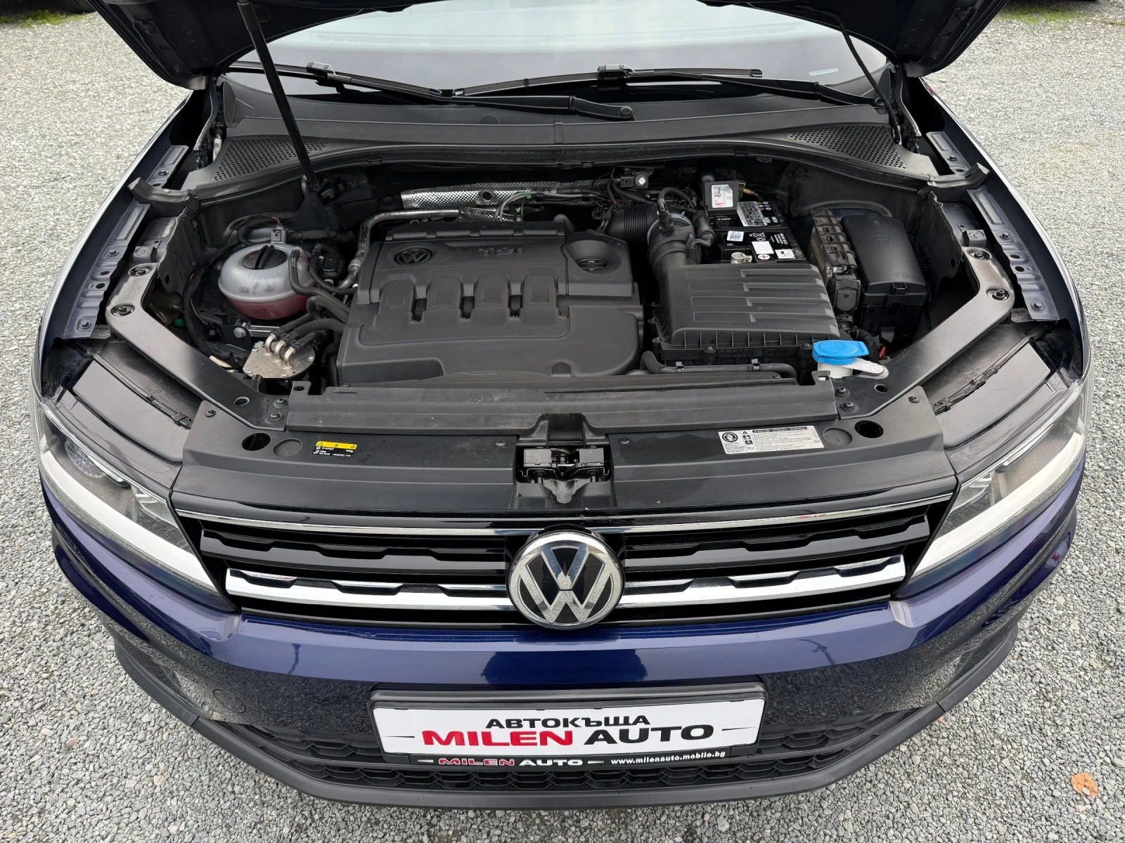 VW Tiguan (KATO ����)^(4x4) | Mobile.bg � ����������� 17