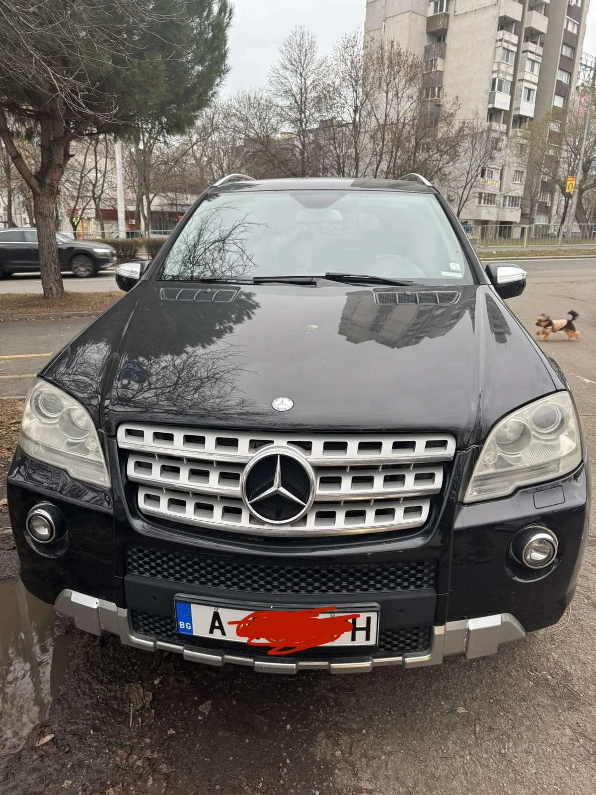 Mercedes-Benz ML 350 AMG PACK | Mobile.bg � ����������� 1