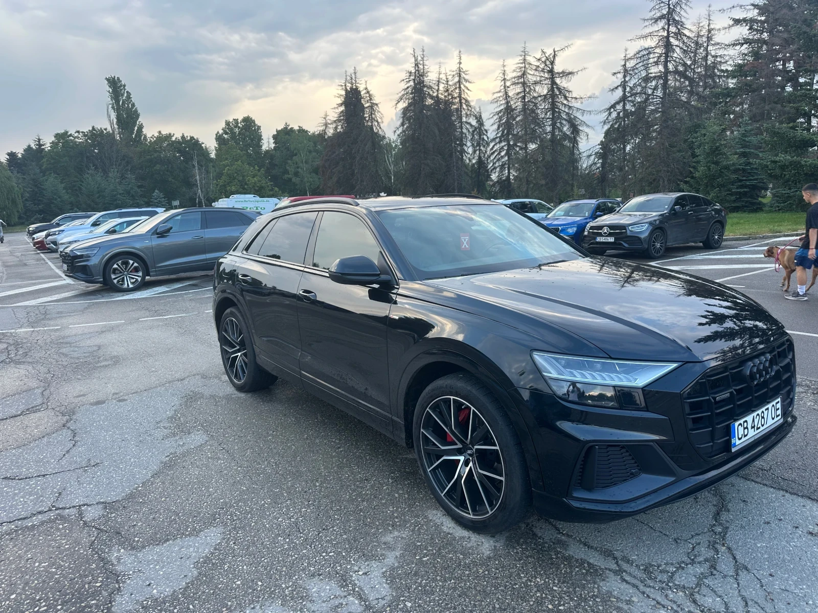 Audi Q8, снимка 13 - Автомобили и джипове - 55015865