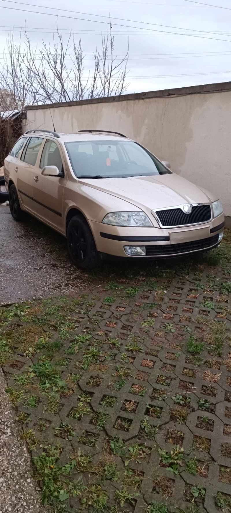 Skoda Octavia 1.6бензин 102кс, снимка 1 - Автомобили и джипове - 48290706