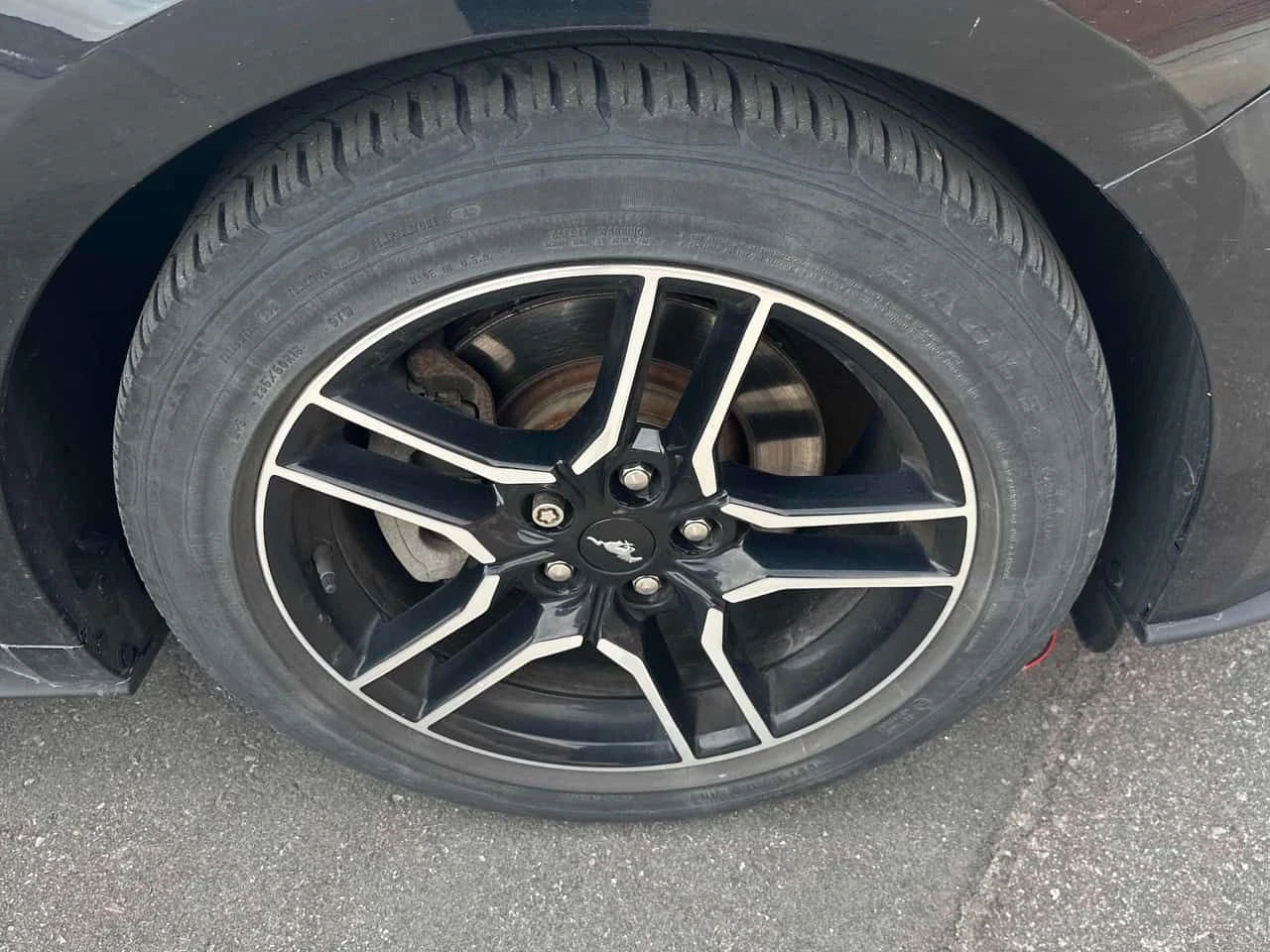 Ford Mustang * EcoBoost * CARFAX * ЦЕНА ДО БГ, снимка 13 - Автомобили и джипове - 54576527