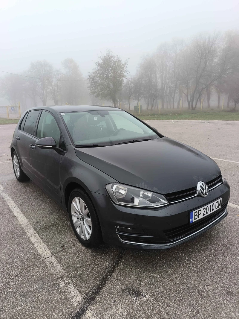 VW Golf 1.6 TDI Bluemotion, снимка 2 - Автомобили и джипове - 52480915