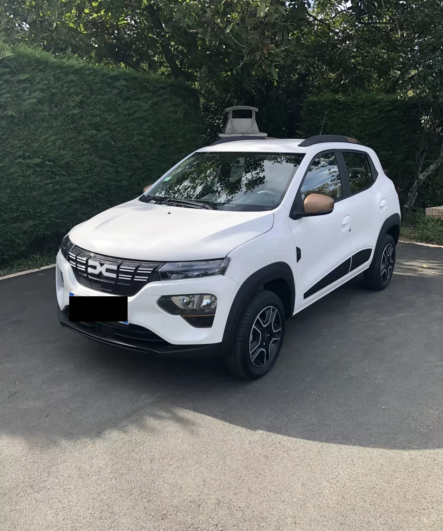 Dacia Spring  - изображение 7