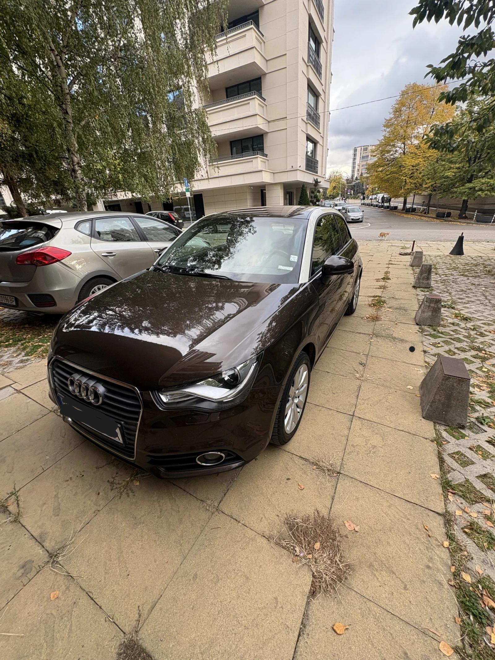 Audi A1 TFS - изображение 4
