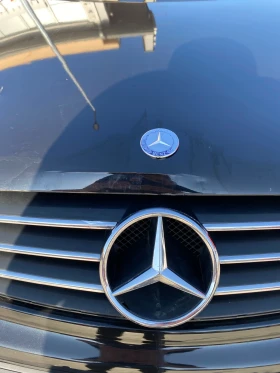 Mercedes-Benz CLK 270CDI - 3170 € / 6199.98 лв. - 42154492 12