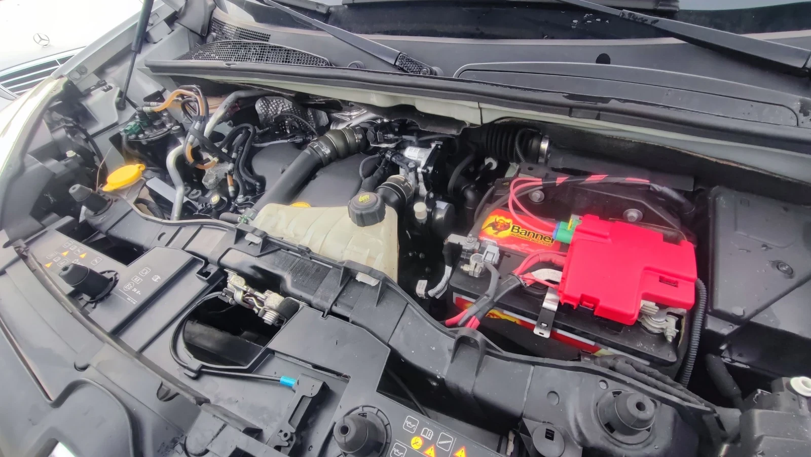 Renault Kangoo 1.5 dci | Mobile.bg   17