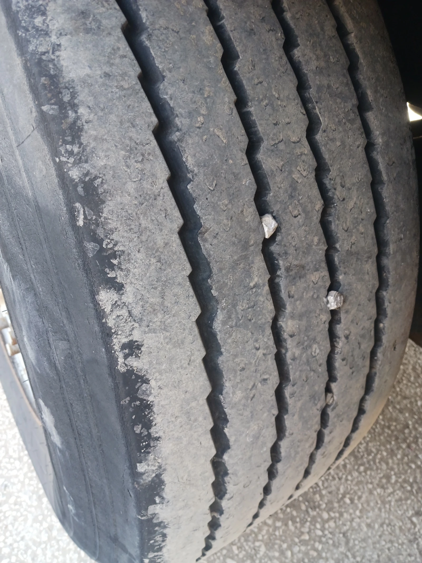  Koegel | Mobile.bg   6