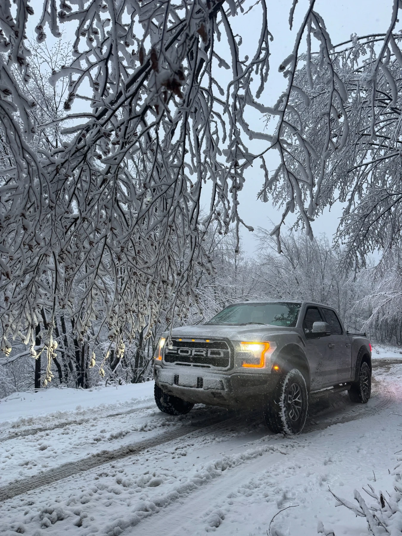 Ford F150 3.5 RAPTOR 450 К.С. - изображение 9