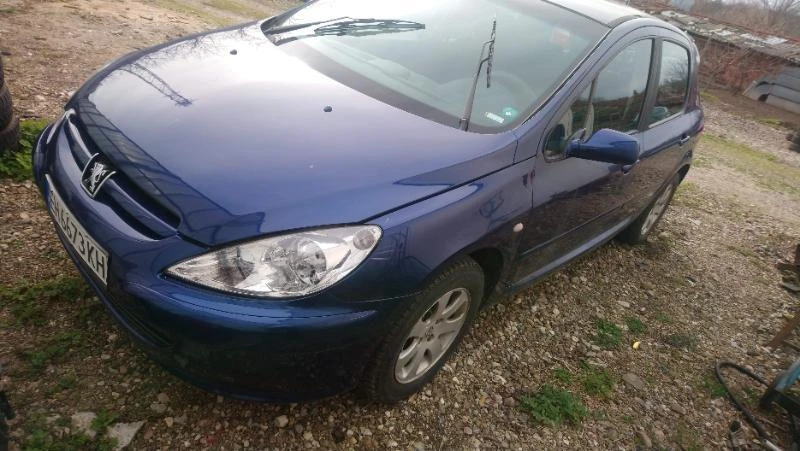 Peugeot 307 1.6 i 109 ps, снимка 2 - Автомобили и джипове - 32351577