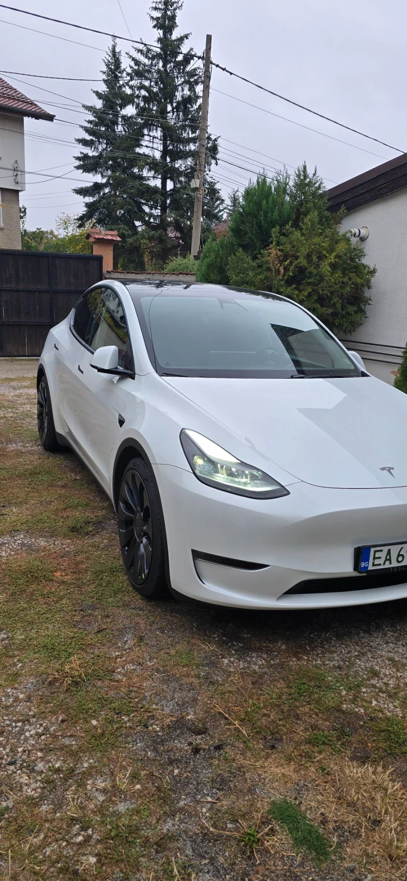 Tesla Model Y, снимка 2 - Автомобили и джипове - 56475733