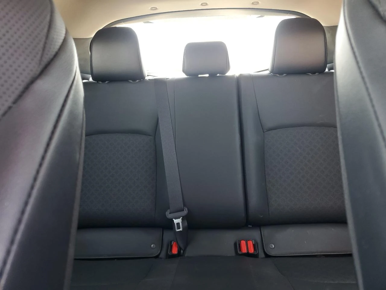 Toyota C-HR XLE - изображение 10