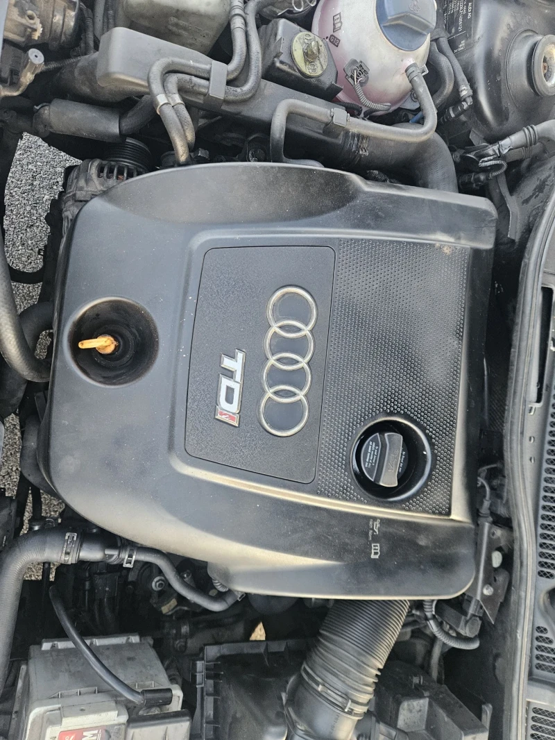 Audi A3 1.9TDI 131ks KOJA, снимка 11 - Автомобили и джипове - 52728787