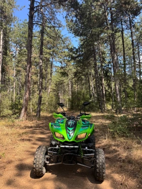 Kawasaki Kfx 700, снимка 1