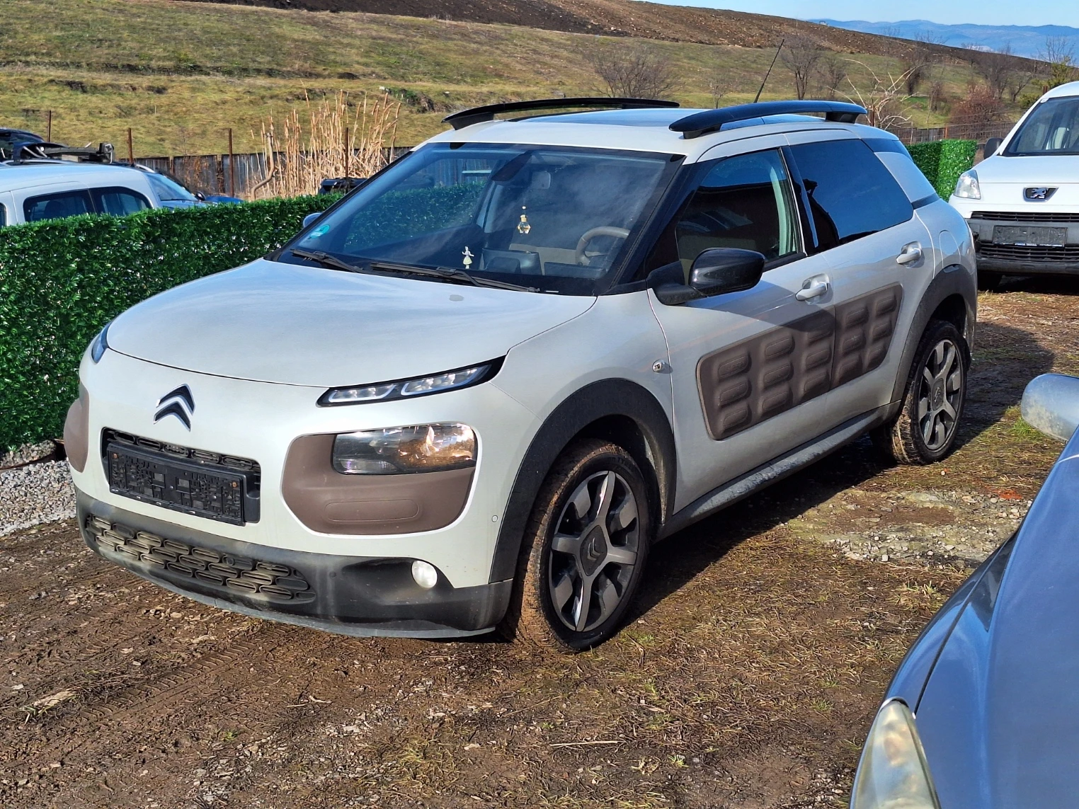 Citroen C4 Cactus 1.6hdi, снимка 1