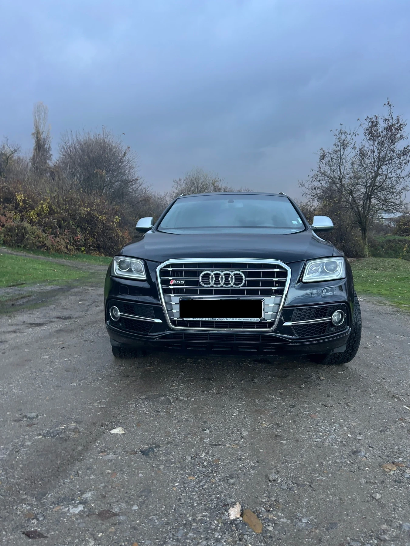 Audi SQ5  3.0 V6 TDI | Mobile.bg   1