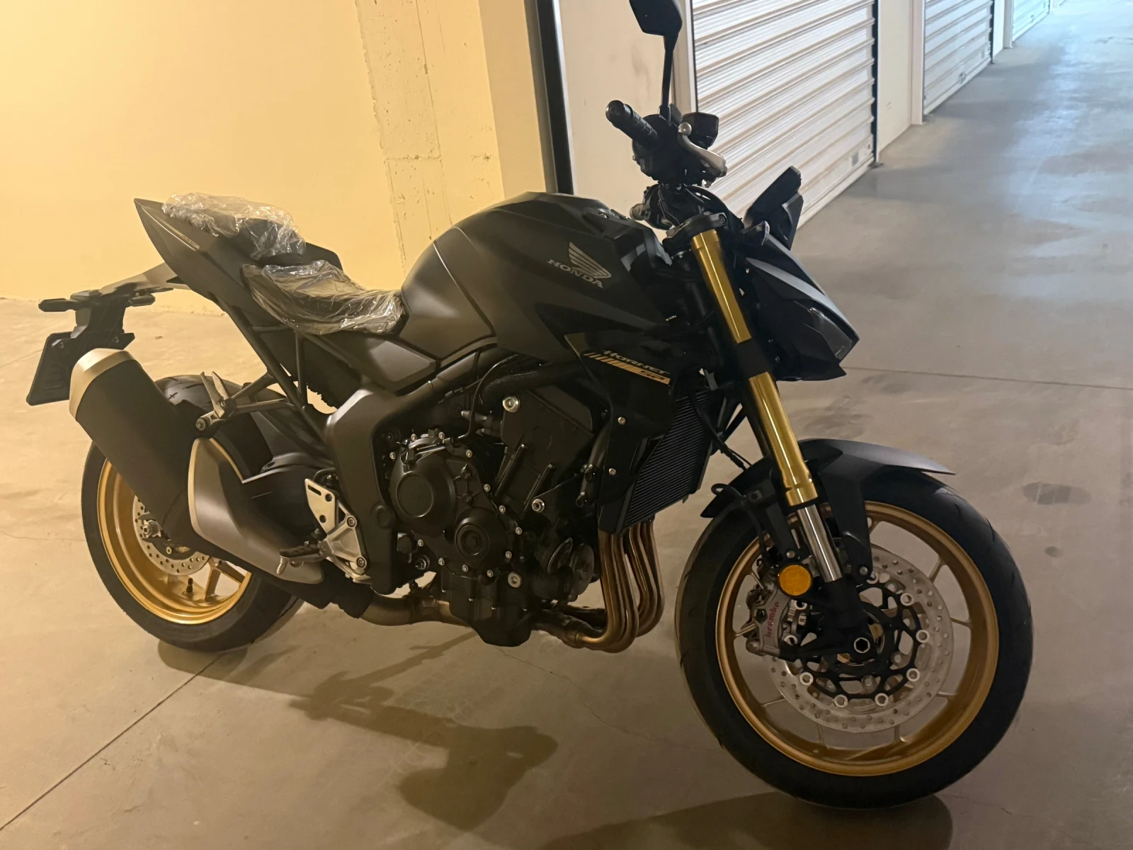 Honda Hornet