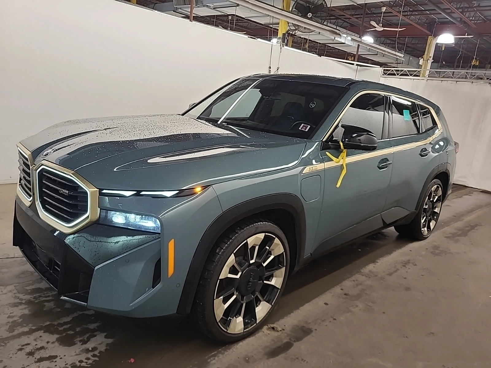 BMW XM SPORTS ACTIVITY VEHICLE - изображение 2