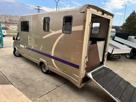 Iveco Daily Животновоз* 35C12* 2.5TDI, снимка 6